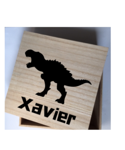 kado dino uniek persoonlijk kinderen