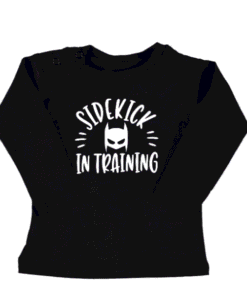 batman sidekick in training