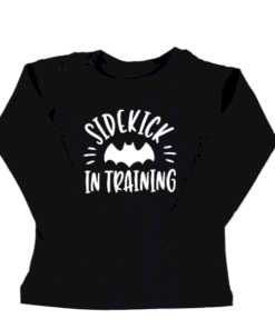 batman vleermuis sidekick