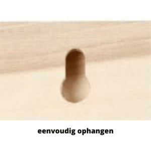 achterkant-schild-superheldenshop.png