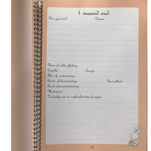 Invulboek Het grote kleine babyboek - prematuur en/of dysmatuur - Afbeelding 5
